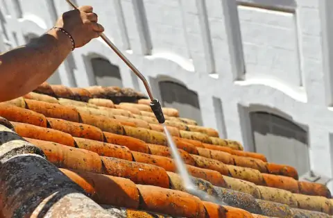 Nettoyage de toitures - Thonnance-lès-Joinville